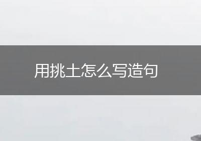 用挑土怎么写造句