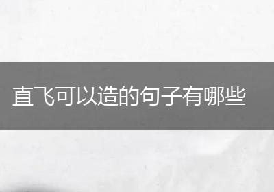 直飞可以造的句子有哪些