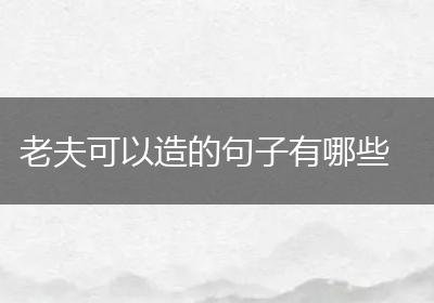 老夫可以造的句子有哪些