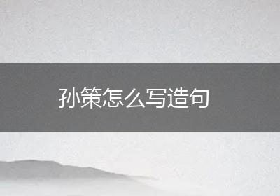 孙策怎么写造句
