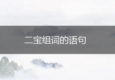 二宝组词的语句