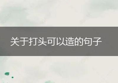 关于打头可以造的句子