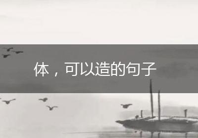 体，可以造的句子