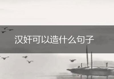 汉奸可以造什么句子