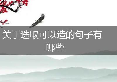 关于选取可以造的句子有哪些