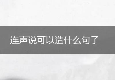 连声说可以造什么句子
