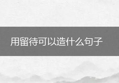 用留待可以造什么句子