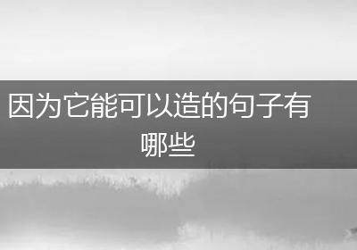 因为它能可以造的句子有哪些
