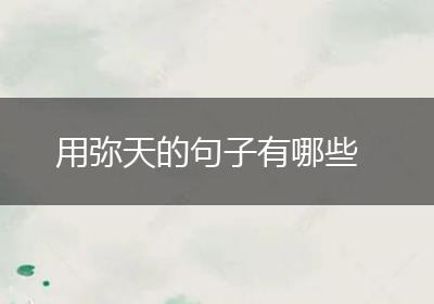 用弥天的句子有哪些
