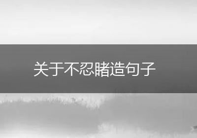 关于不忍睹造句子