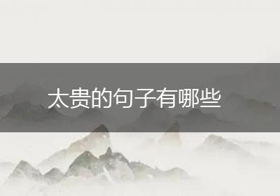 太贵的句子有哪些