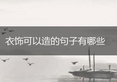 衣饰可以造的句子有哪些