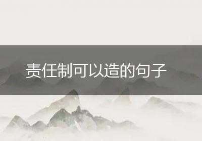 责任制可以造的句子