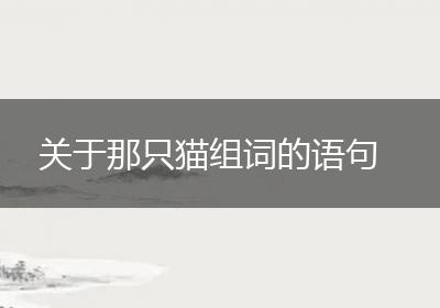 关于那只猫组词的语句