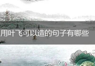 用叶飞可以造的句子有哪些