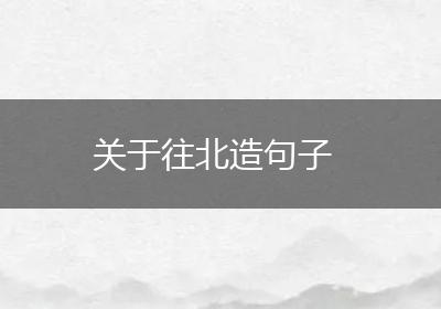 关于往北造句子