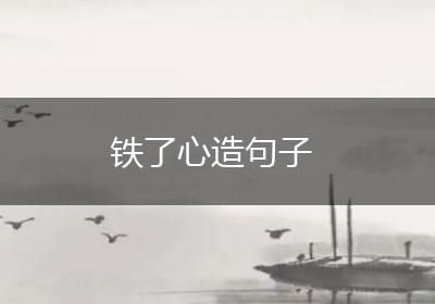 铁了心造句子