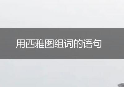 用西雅图组词的语句
