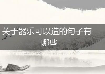关于器乐可以造的句子有哪些