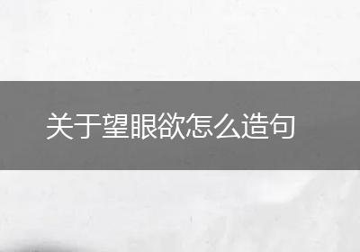 关于望眼欲怎么造句