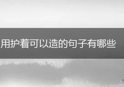 用护着可以造的句子有哪些