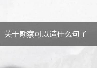 关于勘察可以造什么句子