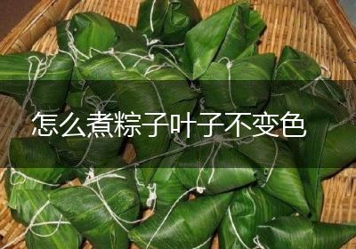 怎么煮粽子叶子不变色 怎么煮粽子叶子不变色