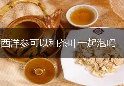 西洋参可以和茶叶一起泡吗