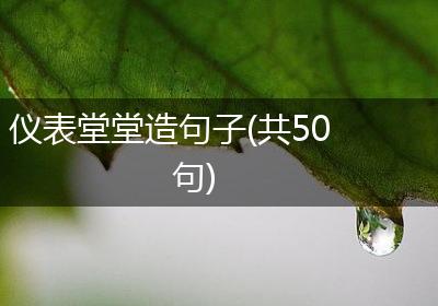 仪表堂堂造句子(共50句)
