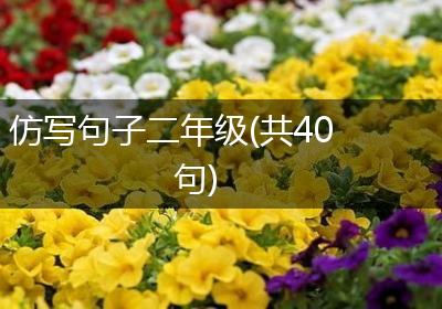 仿写句子二年级(共40句)