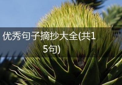 优秀句子摘抄大全(共15句)