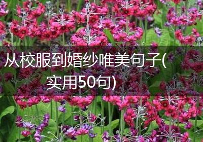 从校服到婚纱唯美句子(实用50句)