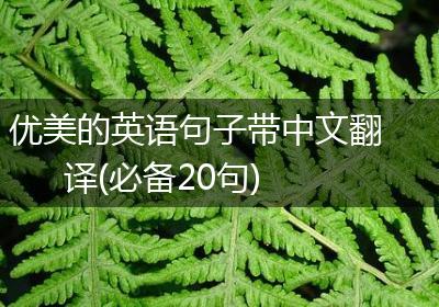 优美的英语句子带中文翻译(必备20句)
