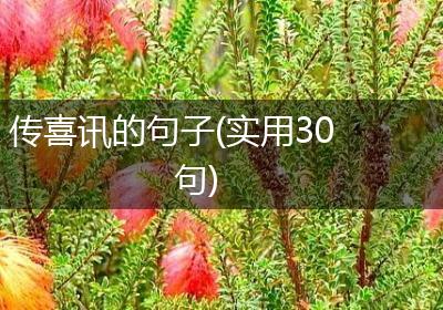 传喜讯的句子(实用30句)