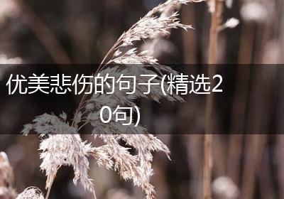 优美悲伤的句子(精选20句)