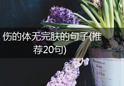 伤的体无完肤的句子(推荐20句)