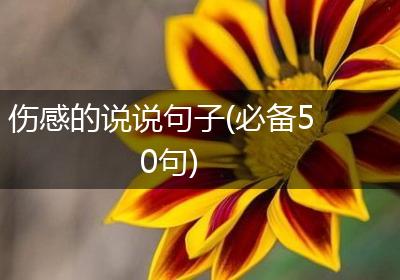 伤感的说说句子(必备50句)