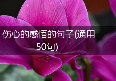 伤心的感悟的句子(通用50句)
