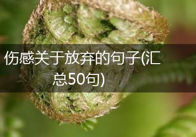 伤感关于放弃的句子(汇总50句)