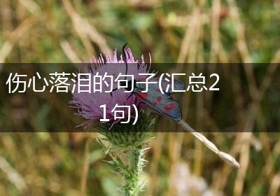 伤心落泪的句子(汇总21句)