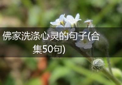 佛家洗涤心灵的句子(合集50句)
