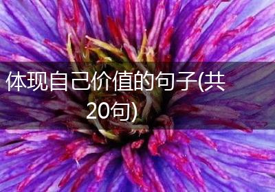 体现自己价值的句子(共20句)