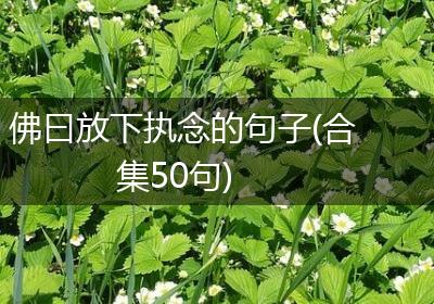 佛曰放下执念的句子(合集50句)