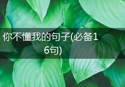 你不懂我的句子(必备16句)
