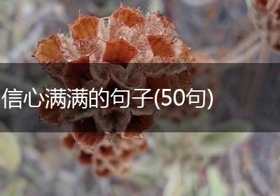 信心满满的句子(50句)