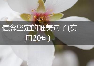 信念坚定的唯美句子(实用20句)