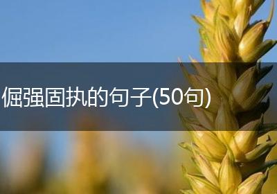 倔强固执的句子(50句)