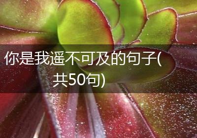你是我遥不可及的句子(共50句)