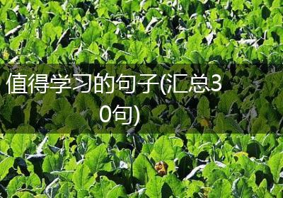 值得学习的句子(汇总30句)