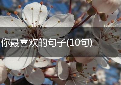 你最喜欢的句子(10句)